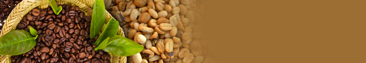 raw-beans-banner.jpg